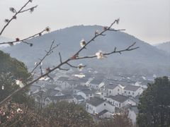 -香雪海