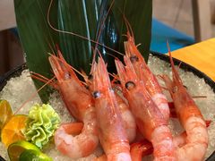 北极甜虾刺身-村上一屋·亚洲菜融合小馆(南楼店)