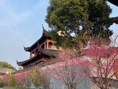 -东钱湖小普陀景区