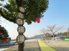 -白塔湖国家湿地公园
