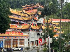 -东莞市大岭山森林公园