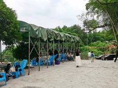 -金水泊山庄·花椒鸡(铁山坪店)