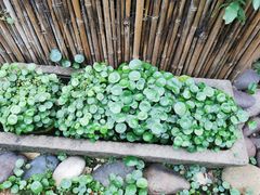 -冰冰龙虾·江湖菜·花园江景餐厅