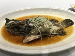 -厦门渔港(成山路店)