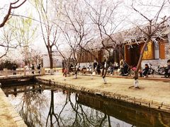 -三里河公园