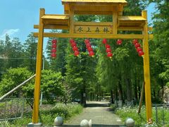 -渌洋湖湿地公园