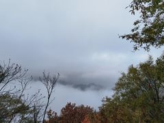 -秦岭终南山世界地质公园翠华山景区