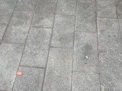 -黄鹤天厨·泡椒田鸡创始者(莲花店)