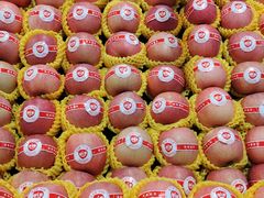 -大鹏佳兆业广场