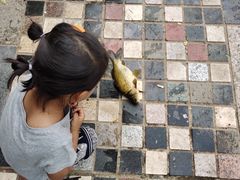 -酷鱼垂钓CLUB(朝阳区博大路店 )