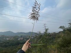 -太和山风景区