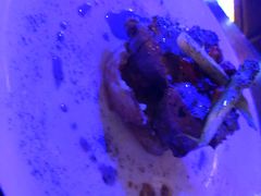 -MARU玛露音乐餐厅(大学路店)