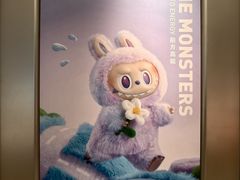 -泡泡玛特POPMART(武汉新天地南馆店)