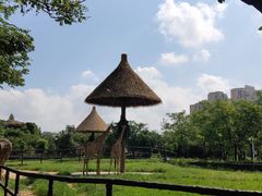 -南昌动物园