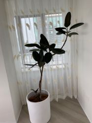 -HEYAN荷妍专业脱毛连锁机构