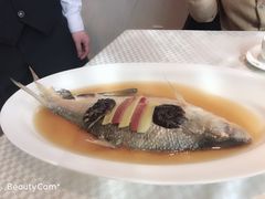 -望乡楼上海菜(日月光店)