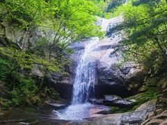 -王顺山国家森林公园