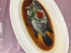 -宝燕壹号(徐汇店)