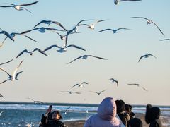 -老虎石海上公园