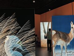 -中国湿地博物馆