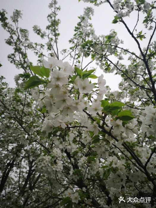 自贡恐龙博物馆图片