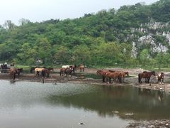 -苏州太湖牛仔风情度假村
