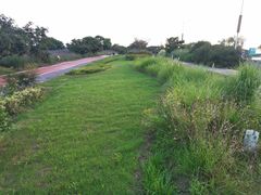 -西京湾花海