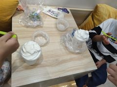 酸奶冰淇淋-白色日记·手作酸奶(麦凯乐店)