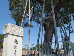 -观潮胜地公园