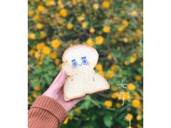 纯米吐司-RiceZone乐食尊纯米面包坊(望京店)