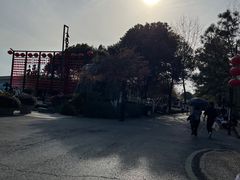 -合肥滨湖国家森林公园