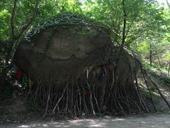 -白水寺森林公园