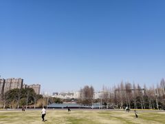 -青枫公园