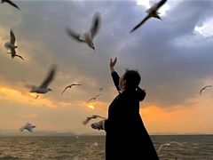 -洱海月湿地公园