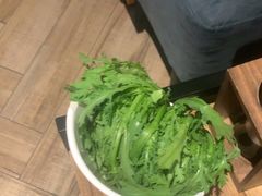 -同仁四季椰子鸡(海岸城天利店)