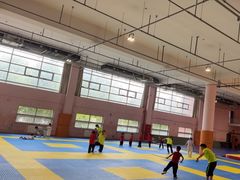 -武术世家少儿培训中心(首都体育学院店)