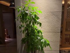-浅深Cheersum(曹杨店)
