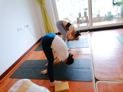 -Yvon yoga 瑜伽·精准体态管理中心