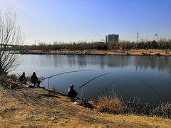 -永定河休闲森林公园