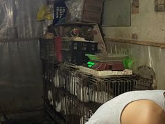 -好记哑巴兔(黄许镇店)