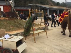 -马口生态公园