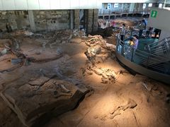 -自贡恐龙博物馆