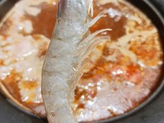 青虾-呷哺呷哺(融创茂店)