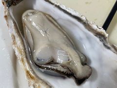 -蚝专家(北滘店)