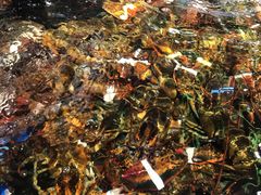 -盒马鲜生(莱蒙都会店)