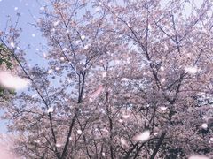 -堤角公园