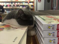 -小时光咖啡馆(开森度假森林店)
