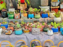 -循礼门鲜花花市(武汉循礼门店)