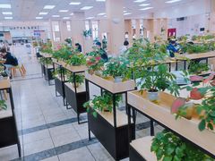 -复旦大学本部-食堂