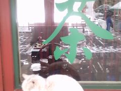 -紫竹院公园冰场